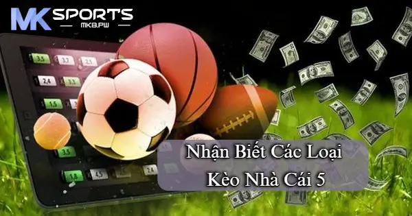 Kèo nhà cái 5 là những kèo cược phổ biến nhất