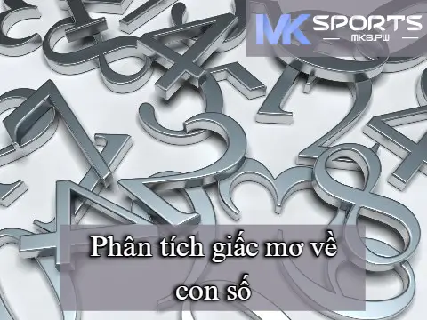 Giải mã giấc mơ cho thấy rằng các con số đóng vai trò quan trọng